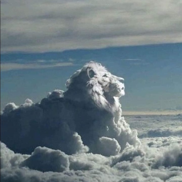 Meet your Posher, Zaria - Picture 1 of 1